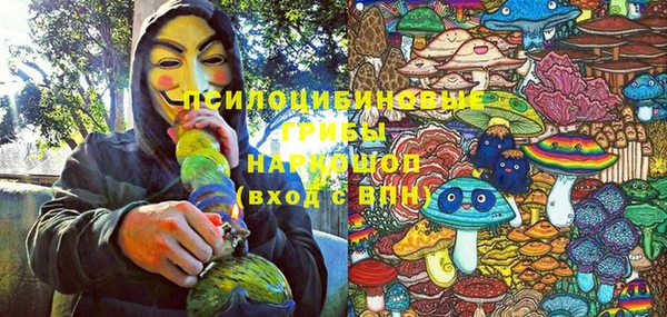 ALPHA PVP Белокуриха